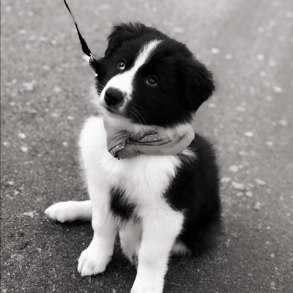 Meet your Posher, Rebekah